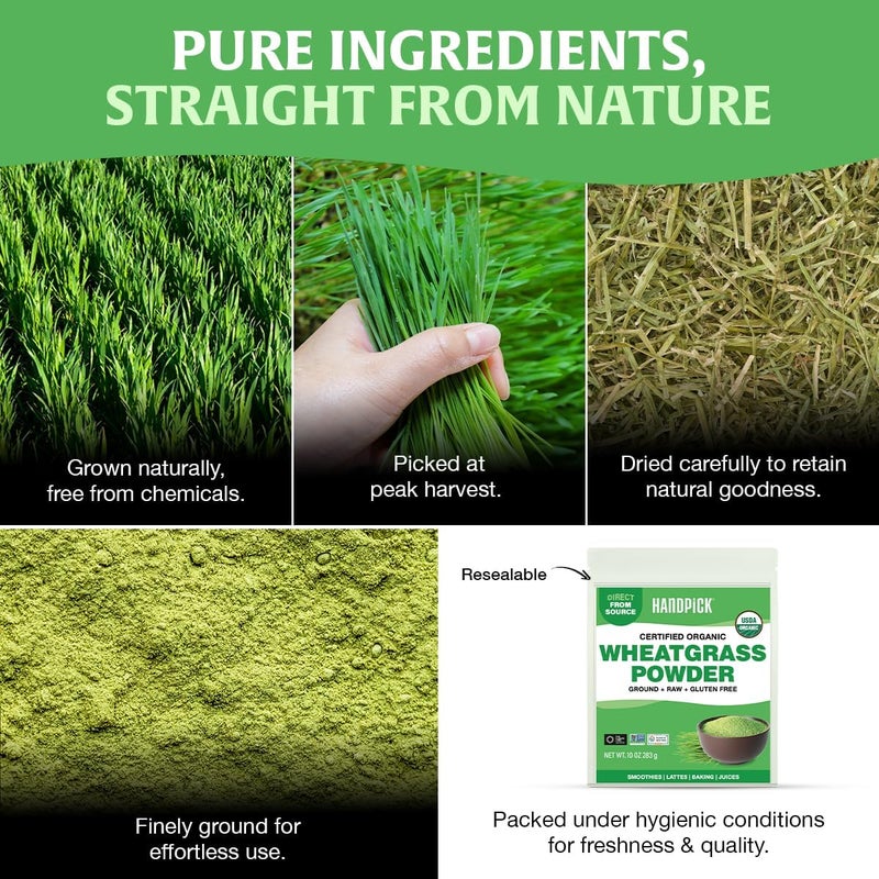 Handpick مسحوق عشب القمح العضوي من هاندبيك - 10 أونصات خالي من الجلوتين مسحوق أخضر غني - Image 5